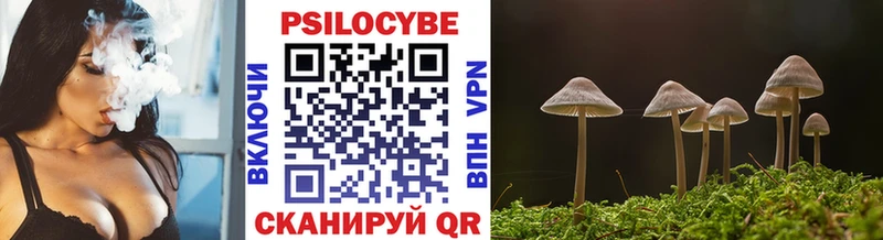 Галлюциногенные грибы Psilocybe  как найти   Новая Ляля 